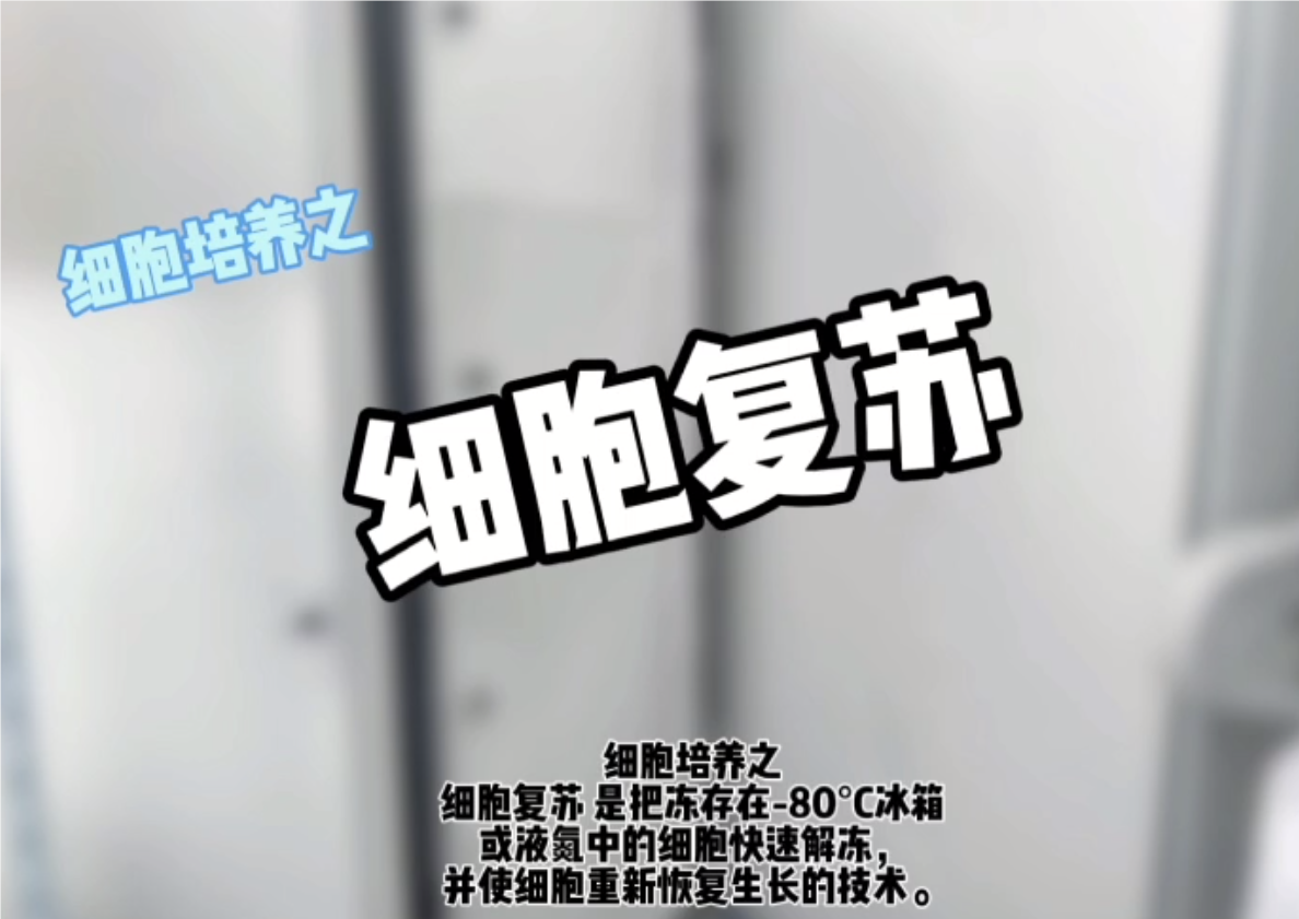 細胞培養——細胞復蘇注意事項